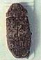 insectes à larves xylophages _ parasites su bois Ref-etat-parasitaire_clip_image026