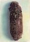insectes à larves xylophages _ parasites su bois Ref-etat-parasitaire_clip_image038